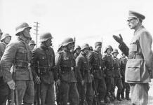 Миллион под трёхцветным флагом, или сколько русских воевало за Гитлера Национальный состав армии власова в процентах