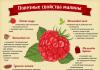Raspberry jam - composition, benefits and harm Raspberry jam properties
