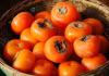 Where and how persimmon grows - interesting about healthy fruit What is the difference between persimmon and kinglet