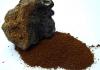 Chaga mushroom: benefits and harms, how to brew correctly, application