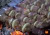 Kömürde kebap pişirmek Izgarada domuz kebabı nasıl marine edilir